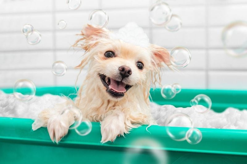 Make Bath Time Positive