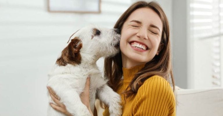 10 Clear Signs That Your Dog Is Happy In Their Life