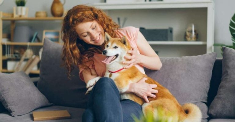 10 Signs Your Dog Loves Living With You