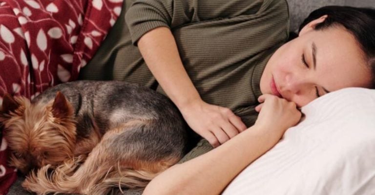 10 Things Dogs Do Differently Once They Trust a Human