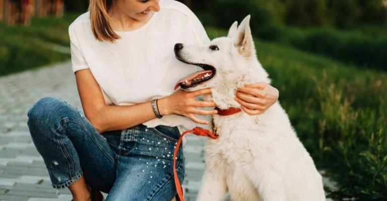 10 Ways to Know Your Dog Is Ready to Spend Their Whole Life With You