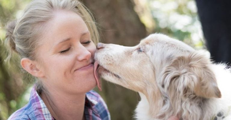 10 Ways Your Dog Is Trying to Soothe You