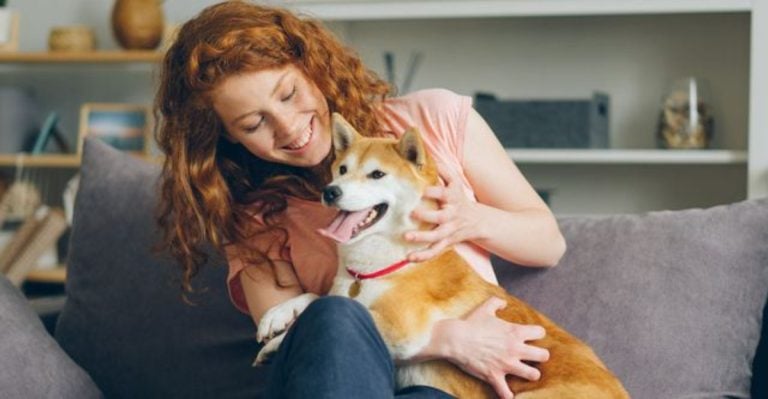11 Adorable Habits Dogs Only Show When They Truly Trust You