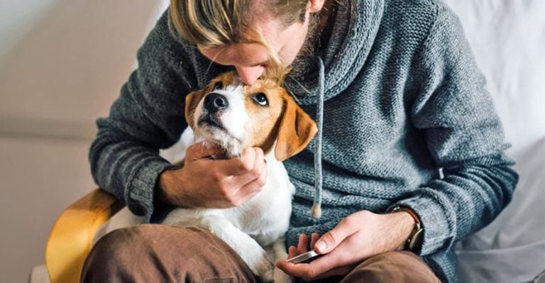 11 Subtle Ways Your Dog Is Secretly Trying to Comfort You