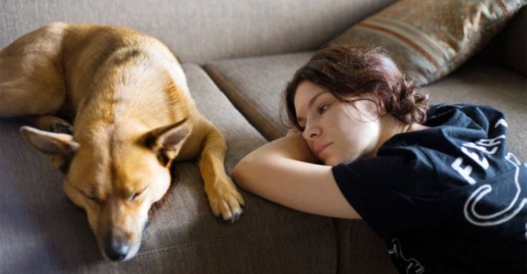 11 Things Rehomed Dogs Do That Might Surprise You