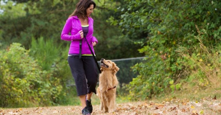 12 Real Benefits of Walking Your Dog Every Day (Backed by Science)
