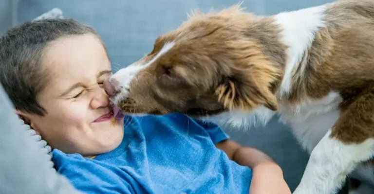 12 Wild but True Dog Facts Only a Behavior Expert Could Tell You