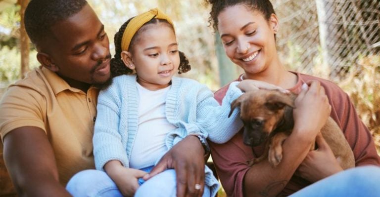 13 Simple Acts of Love That Can Completely Change a Shelter Dog’s Life