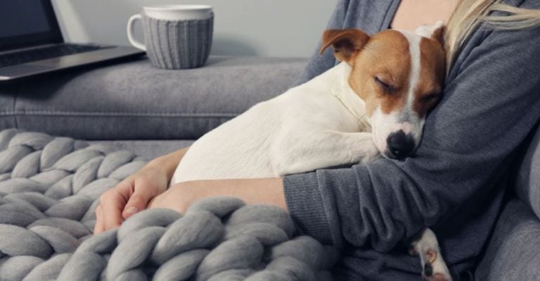 13 Surprising Ways Pets Make You Healthier and Happier