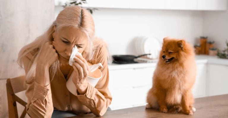 13 Types of People Who Probably Shouldn’t Own a Dog