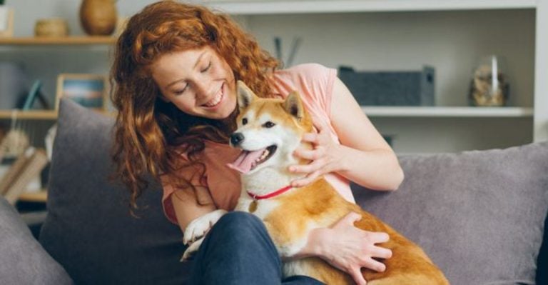15 Things Your Dog Never Forgets About Your Everyday Behavior