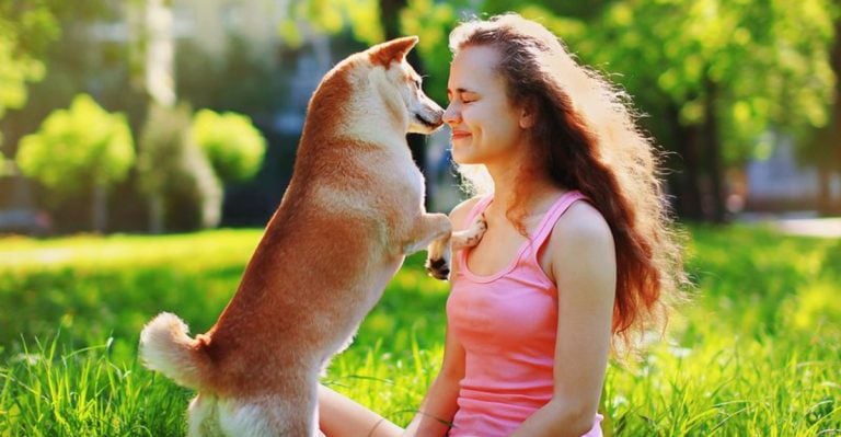 17 Ways to Show Your Dog You Understand Their Needs