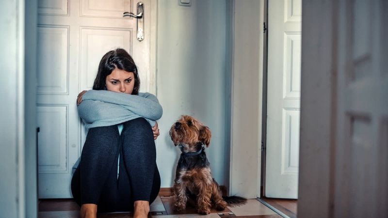 Emotional Sponges Absorb Your Stress
