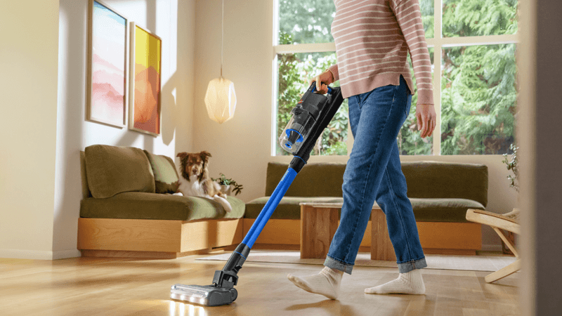 Vacuum Frequently—Especially Soft Surfaces
