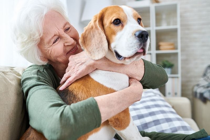 Offers Purpose for the Elderly