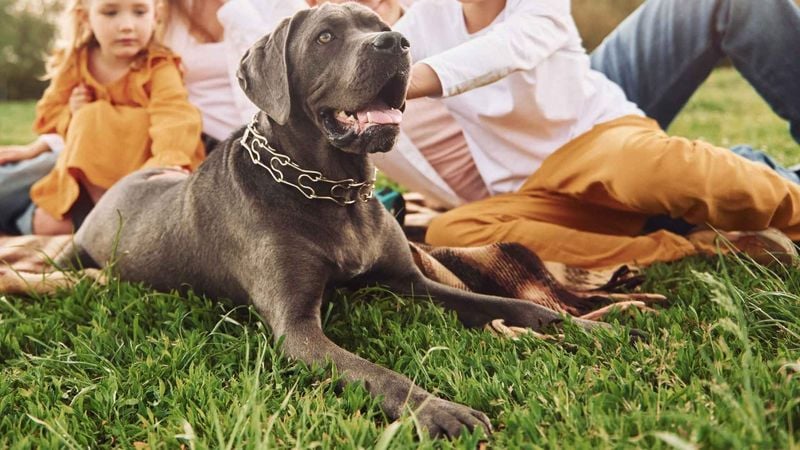 They Get Protective—But Not Possessive