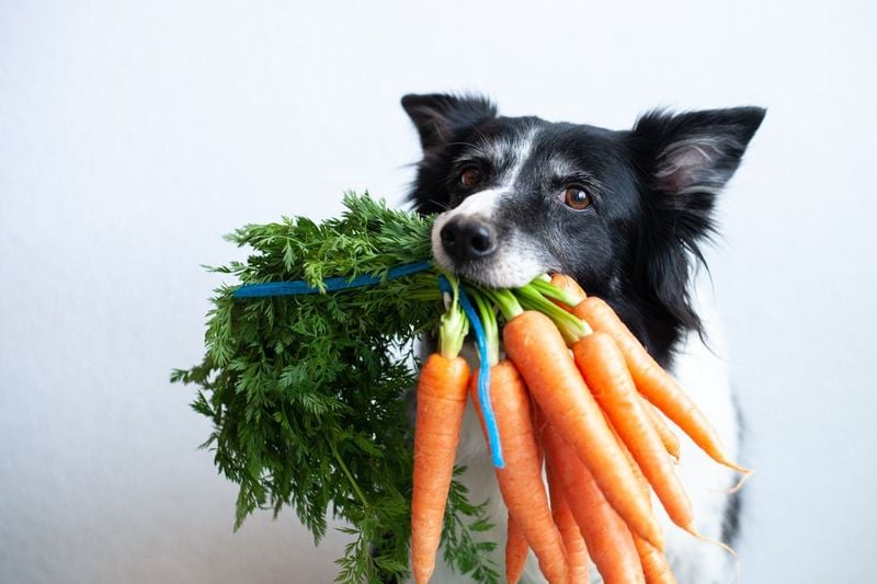 Carrots