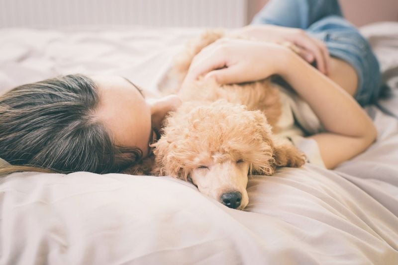 Offer Nighttime Companionship