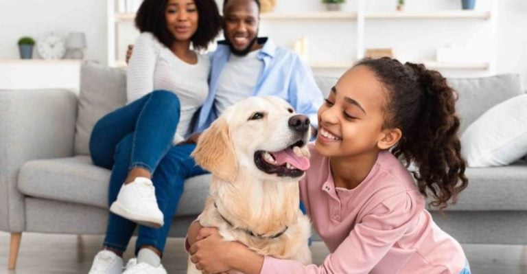 20 Sweet-Natured Dog Breeds That Find a Way to Everyone’s Heart