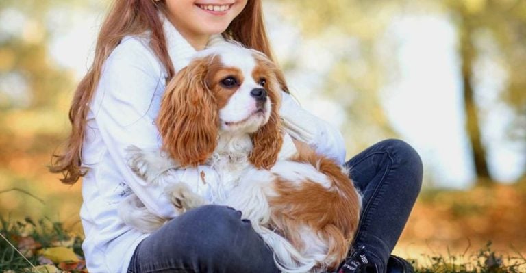 23 Reasons Why Small Dogs Are Better Than Big Dogs