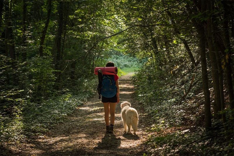 Daily Walks in Nature