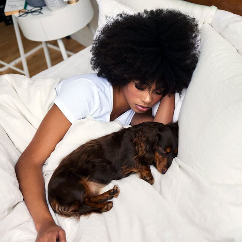 Safety Risks (Especially with Small Dogs)
