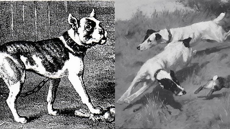 Origin and Historical Purpose