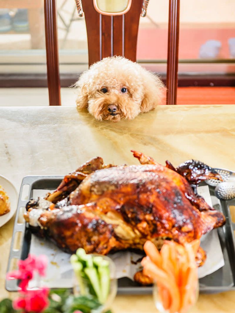 Cooked Turkey (no bones or skin)