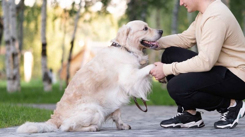 People-Pleasers With Purpose