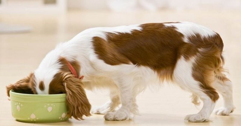 Risks and Challenges