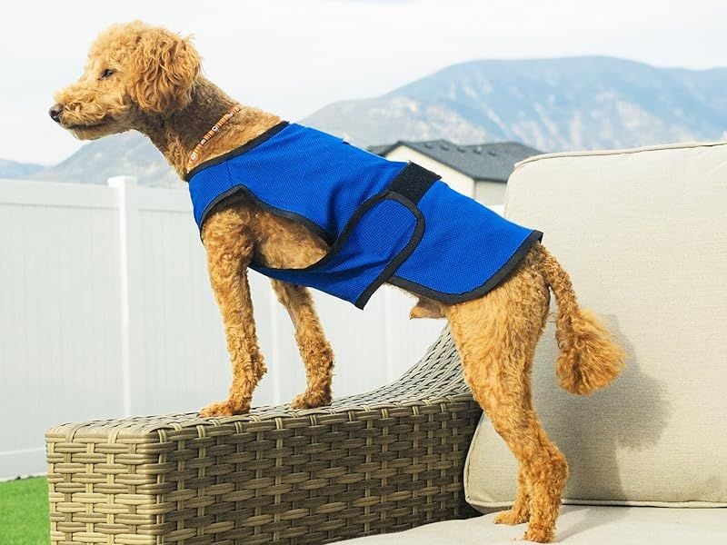 Dry Cooling Vests Become Heat Traps