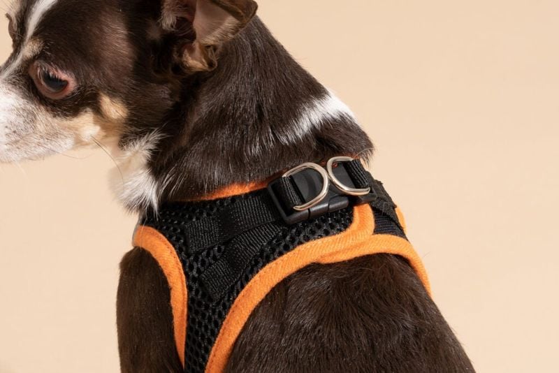 Reduces Strain on the Neck