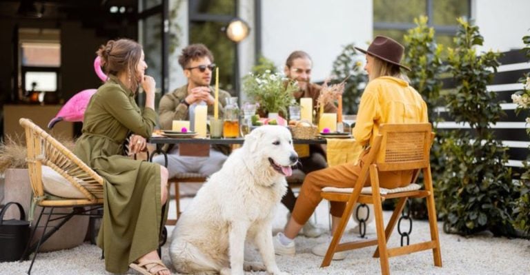 6 Unspoken Rules of Petiquette Every Dog Owner Should Follow