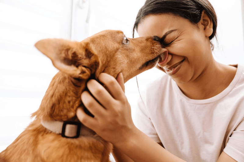 Licking Has Multiple Meanings
