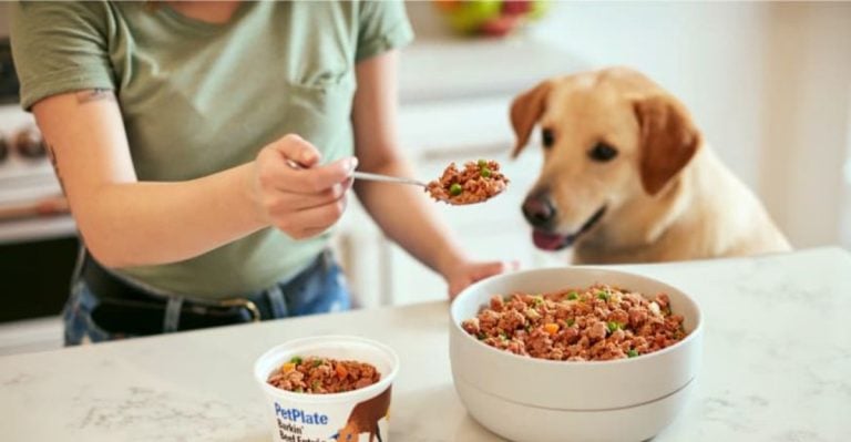7 Budget-Friendly Ways to Upgrade Your Dog’s Diet