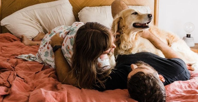 7 Downsides and 7 Benefits of Letting Your Dog Sleep in Your Bed