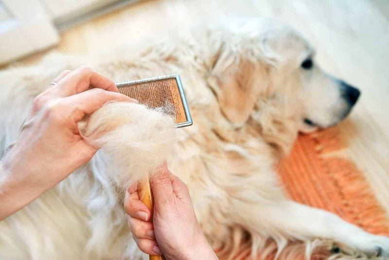 Grooming Demands That Never End