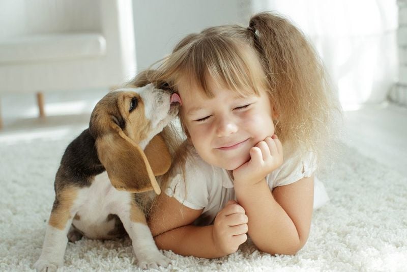 Boosts Immunity in Children