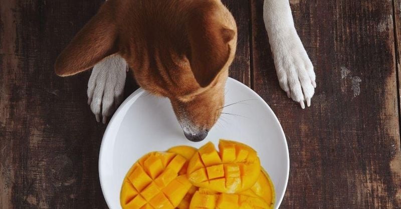 Mangoes