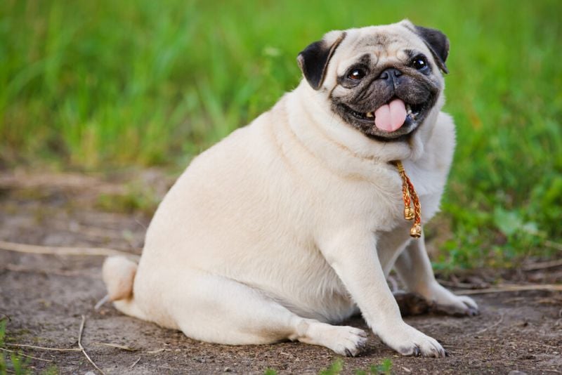 Unexplained Weight Gain or Loss