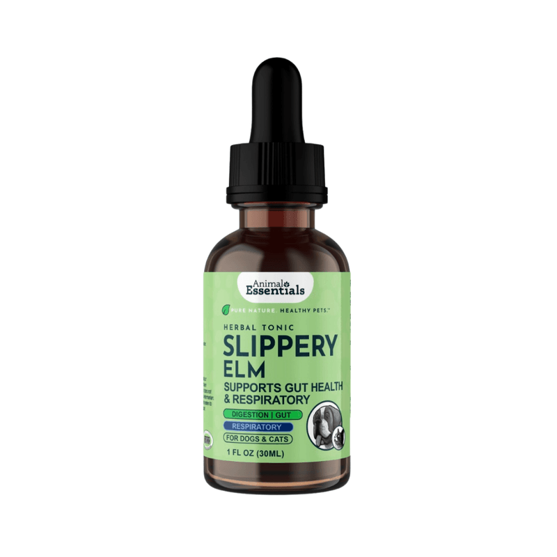 Slippery Elm for Digestive Comfort
