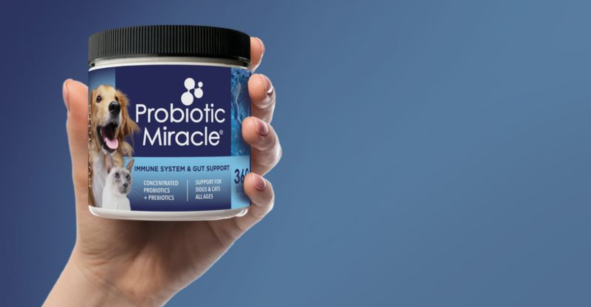 8 Vet-Approved Probiotics Your Dog Needs (And One Might Already Be in ...