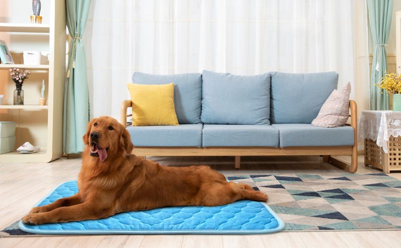 Offer a Cooling Mat