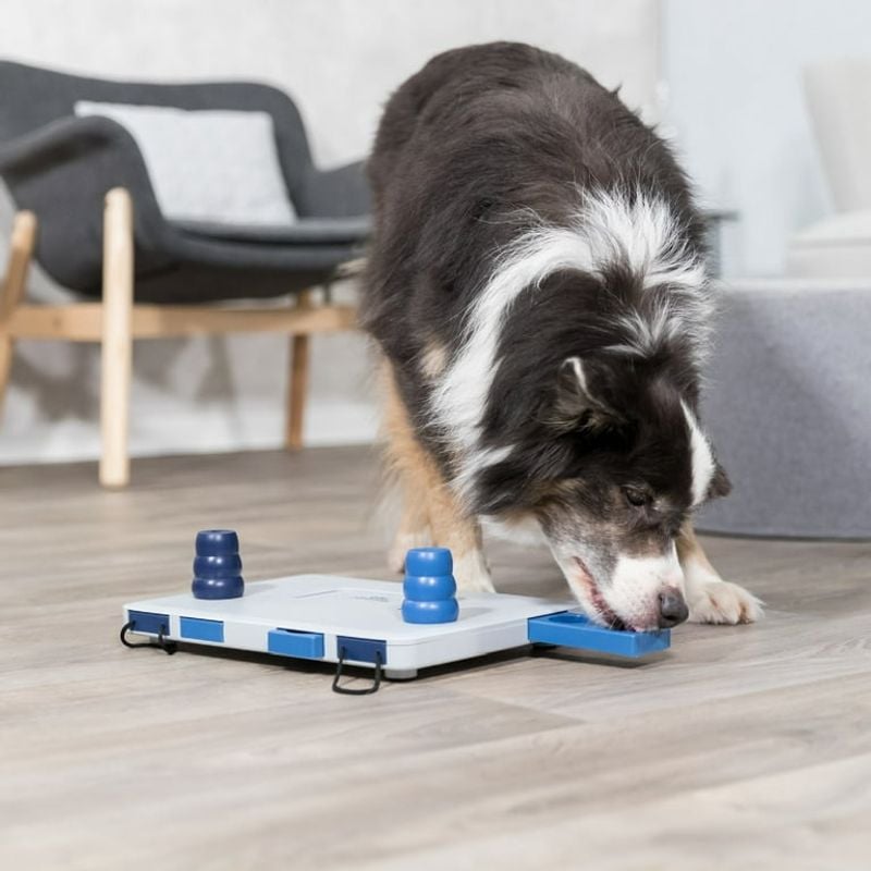 Trixie Dog Activity Chess