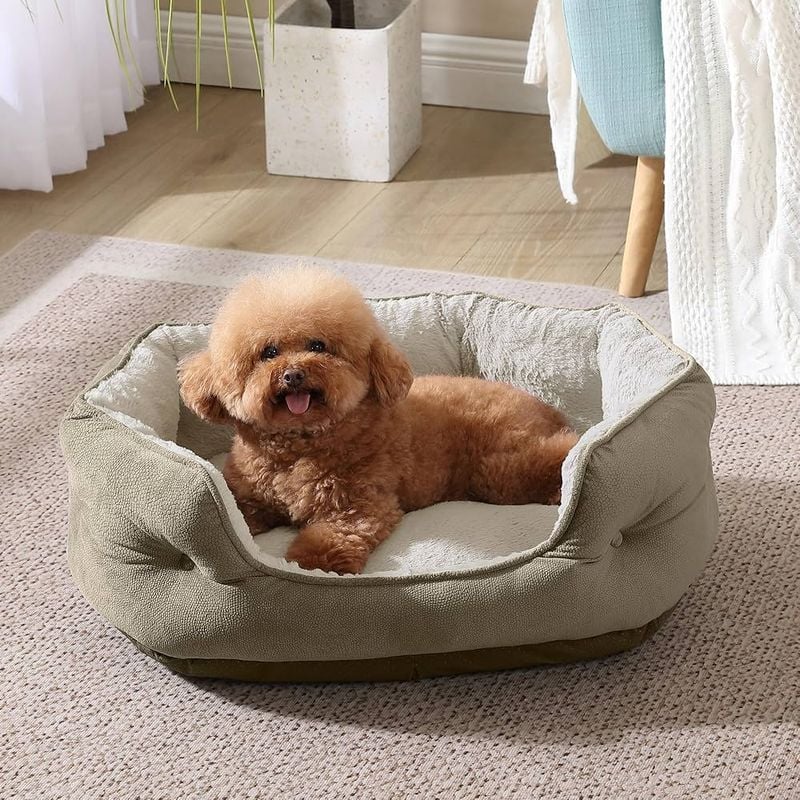 Choose a Comfortable Bed