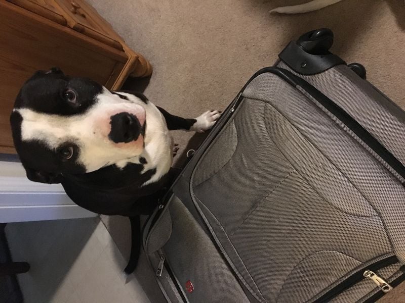 Spontaneous Travelers Without Backup Plans