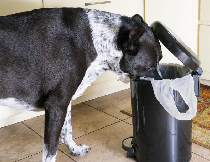 Fat Trimmings and Grease