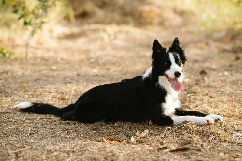 Less Interest in Play and Exercise