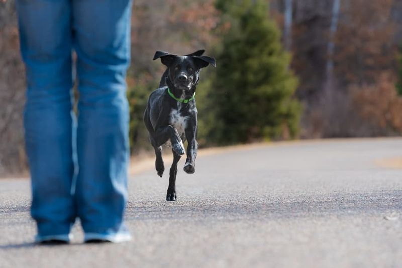 Come: The Lifesaving Recall