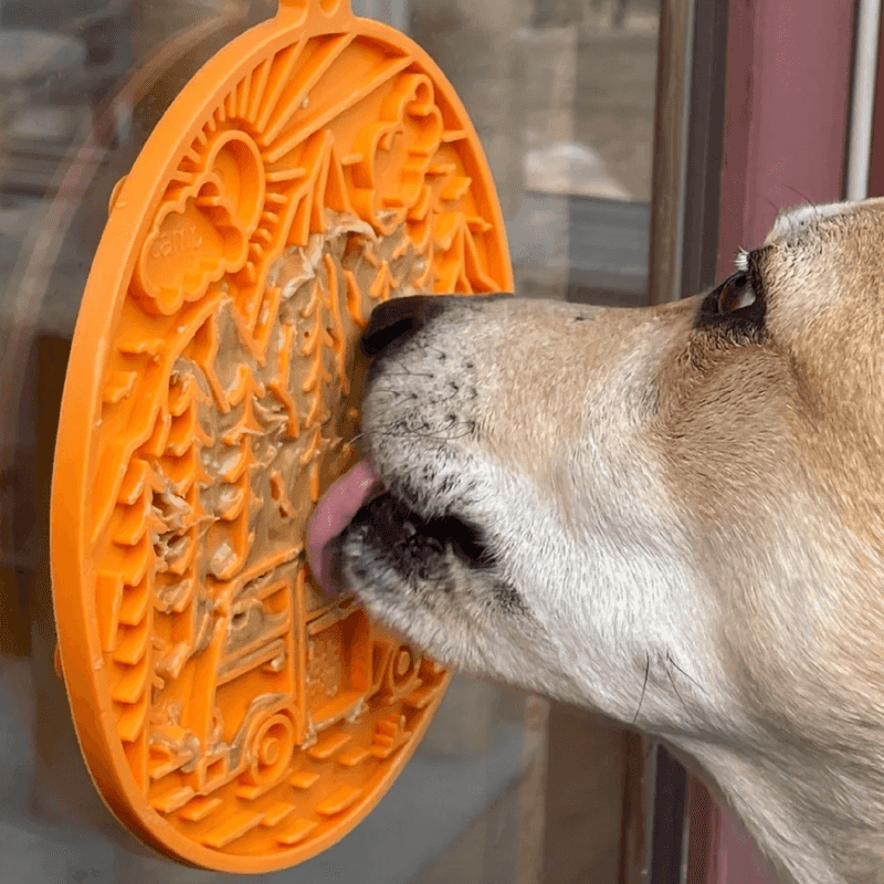 Offer a Chew or Lick Mat